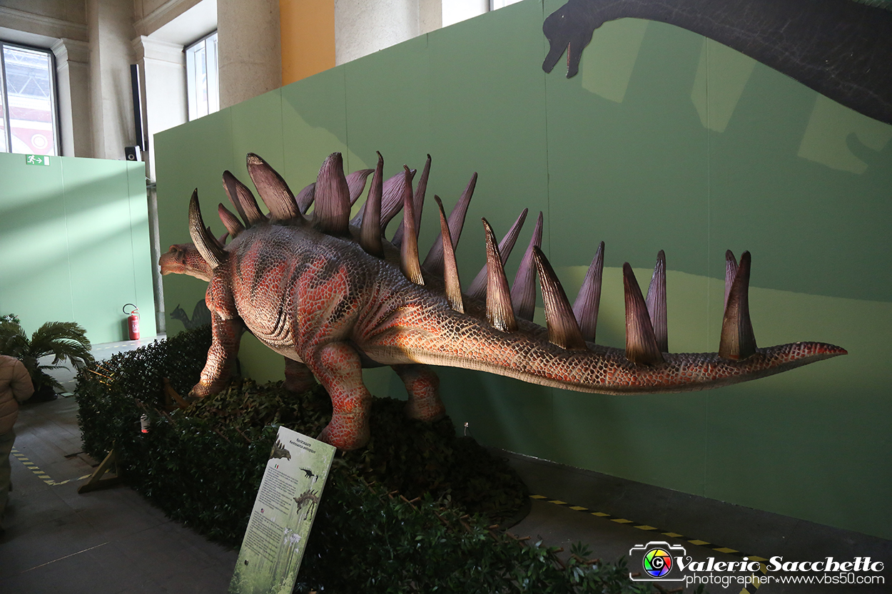VBS_0930 - Dinosauri. Terra dei giganti.jpg